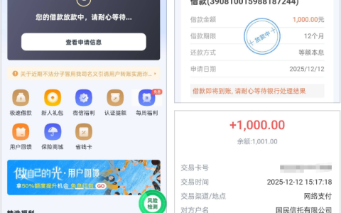 小赢卡贷申请 10000 元仅下款 1000 元？12 个月等额本息到账实测 + 群友经验参考