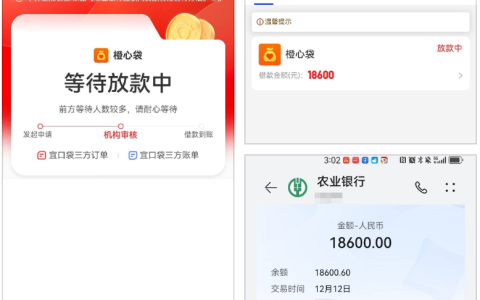 橙心袋黑户下款成功！桔多多逾期 18000 仍批 18600 元，历时 9 天到账 + 扣款详情分享
