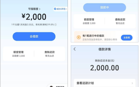 抖音放心借被套路后重新下款！2000 元 12 期等额本息实测，年利率 19.8% 详情分享