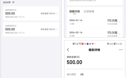 京东借钱中粮信托下款 1000 元！分两笔审核 10 分钟到账，3 期按日计息还款详情
