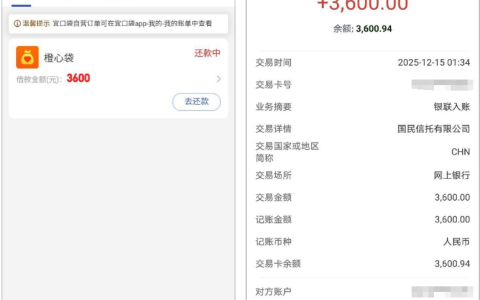 橙心贷宜口袋逾期一年仍下款！5 号申请 10 天后到账 3600 元，资金拦截成功技巧分享