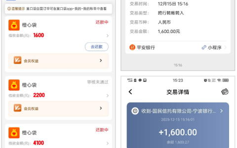 橙心袋第二笔下款 1600 元成功拦截！第一笔还款日到账，中午放款实测 + 逾期用户申请经验