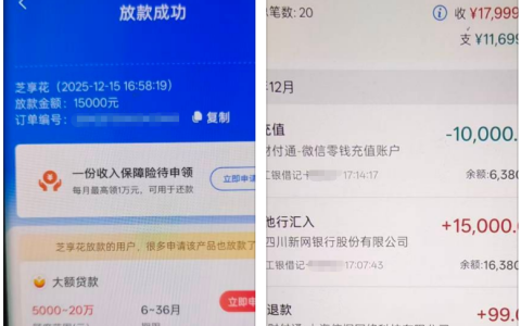 融 360 芝享花下款 15000 元实测！负债高每月查询 30 + 无逾期，到期贷款应急成功