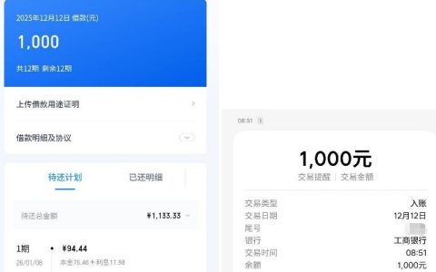 滴滴金融滴水贷下款 1000 元实测！还款后凑额度申请，5 分钟到账 12 期还款明细