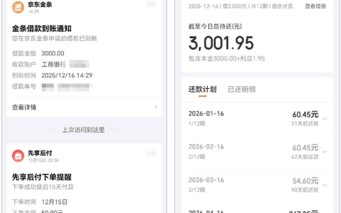 京东金条外贸信托下款 3000 元实测！第一次秒拒二次申请秒下，12 期还款明细分享