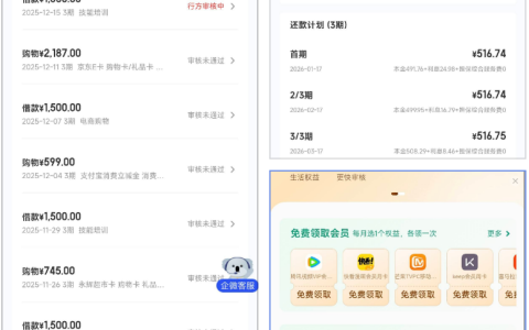 宜口袋 29.9 元会员秒放款实测 海尔消费金融下款 1500 先享后付权益超省心