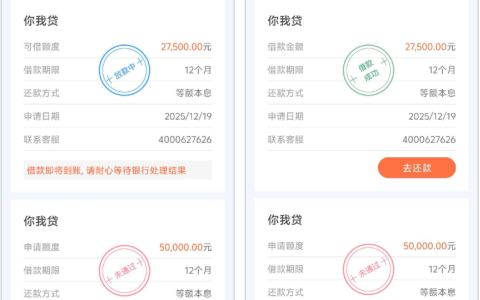 小赢卡贷重新申请额度秒批 27500 元，放款中稳不稳？征信有逾期也成功下款经验