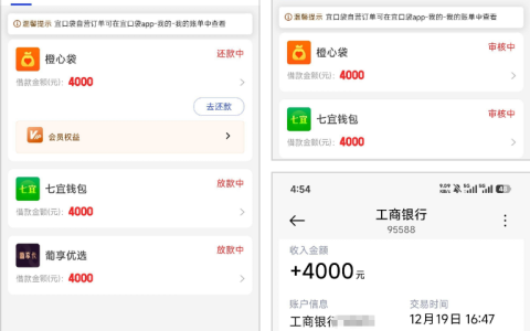 宜口袋刷出橙心袋 + 七宜钱包 + 葡享卡 3 个额度，4000 元秒下款，没扣会员费影响后续吗