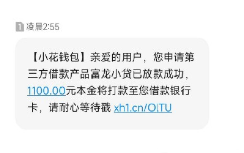 富龙小贷 小花钱包匹配能下款吗？实测 1100 元应急成功，无复杂流程超省心