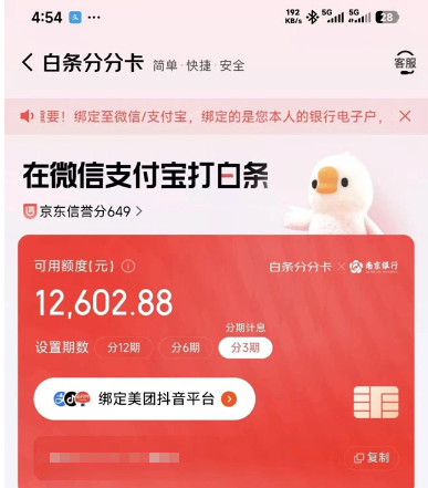京东白条 金条 白条分分卡额度共享吗 开通难度及征信要求