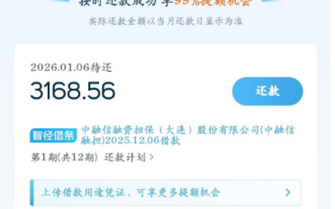 拍拍贷有额度借不出怎么办？综合评分不足这样解决，实测逾期代偿也能下款