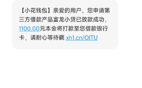 小花钱包匹配富龙小贷能下款吗？实测 1100 元应急秒到，无复杂流程避坑指南