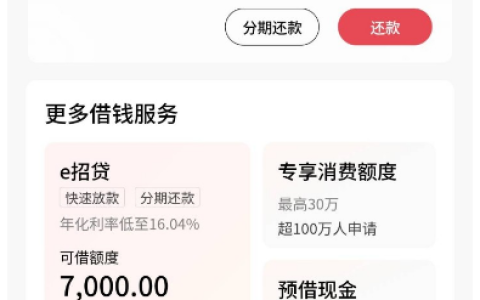 招行 E 招贷和闪电贷有什么区别 额度是否共享 申请条件及下款实测分享