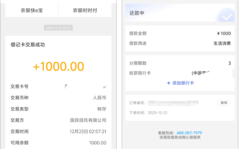 宜口袋（橙心袋提供）逾期能下款吗？1000 元快速到账案例 农行拦截技巧及审核进度解析