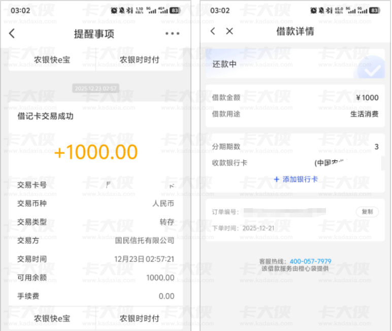 宜口袋（橙心袋提供）逾期能下款吗？1000 元快速到账案例 农行拦截技巧及审核进度解析