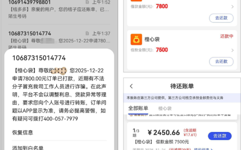 橙心袋第二笔下款成功案例 逾期 29 天仍获批 申请历程及审核进度解析