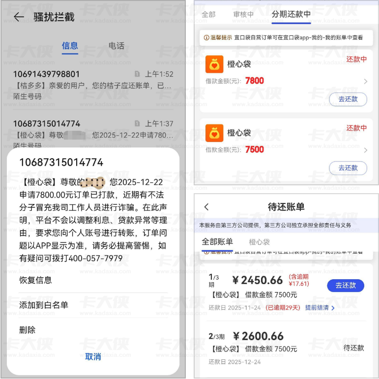 橙心袋第二笔下款成功案例 逾期 29 天仍获批 申请历程及审核进度解析