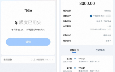 淘宝随身贷怎么出额度？2025 年末刷脸秒下经验、放款机构及用户反馈详解