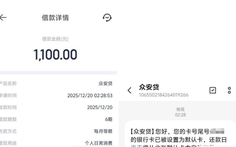 众安贷容易下款吗？众安保险旗下 1100 元 6 期到账实测、申请攻略及用户反馈