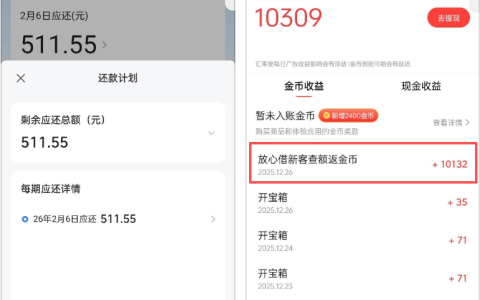 放心借抖音申请秒拒 今日头条极速版做任务领金币秒批 500 元真实体验
