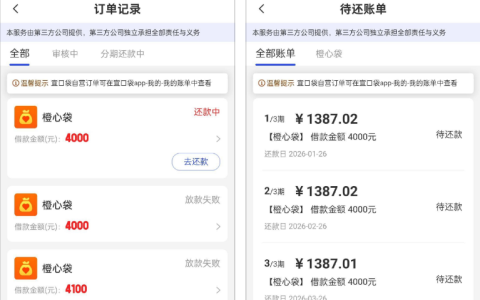 橙心袋宜口袋下款 4000 元 农业银行放款失败换兴业银行成功到账经验分享
