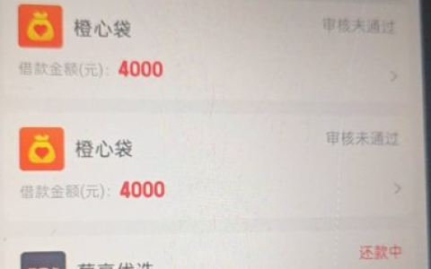 宜口袋葡享优选还款扣两次怎么办？用户反馈问题原因 + 实用解决方法分享