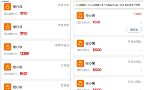 宜口袋橙心袋历时 20 天申请成功 4500 元下款 联系客服协调后快速到账案例