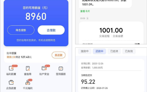 宜享花 T 路半年后下款 1000 元 还款后额度不可用仍成功借款真实案例