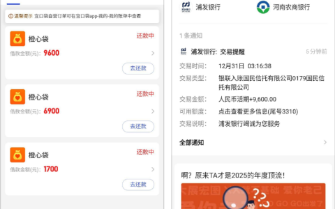 橙心袋第三笔能下款吗？逾期后仍批 9600 元，国民信托放款 + 使用疑问全解析