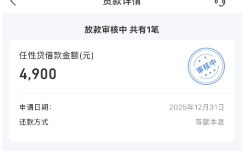 星图金融任性贷出黑屋下款实测：账户大花仍批 4900 元，国民信托资方 + 还款日前到账攻略