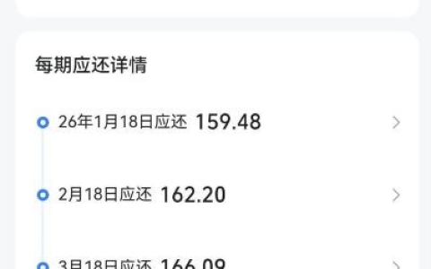 抖音放心借 1000 元下款实测 之前无额度反复开关后获批 5 期还款详情及申请技巧