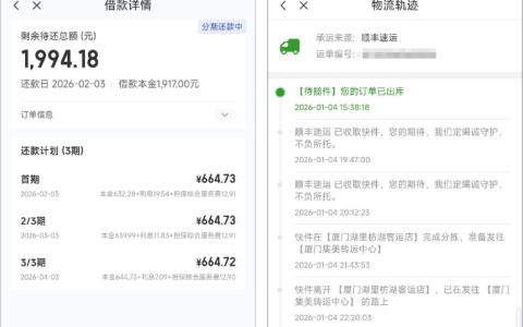 宜口袋支付宝立减金逾期半年也能过？1917 元 3 期还款，回访后次日到账实测