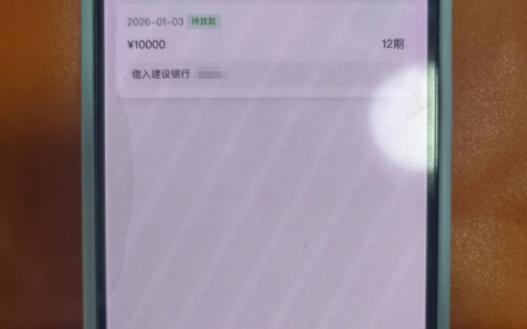 小花钱包申请 10000 元审核中 之前秒拒现在有下款机会吗 实测参考