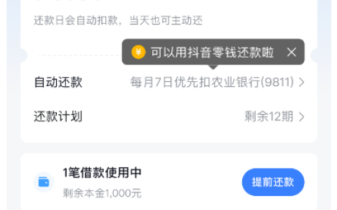 抖音放心借秒开 1000 元额度 大花用户近三月查询百次仍秒到账实测