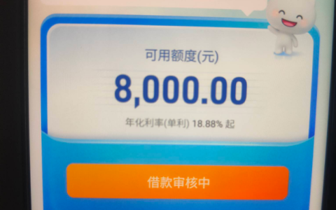 建信消费金融 APP 申请出 8000 元额度 征信查询爆无逾期 审核中能否成功下款？