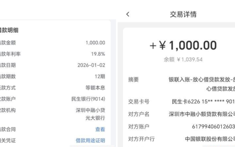 抖音旗下放心借首次申请即下款 1000 元 年化 19.8% 分 12 期 放款机构为深圳中融小贷 + 光大银行