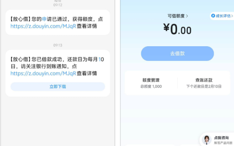抖音放心借没额度？红果免费短剧助力下款 1000 元 秒批到账附申请实用参考