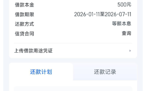 其他平台抽贷仍能下款 信用飞 500 元秒批秒下 资质大花查询多无逾期分 6 期还款