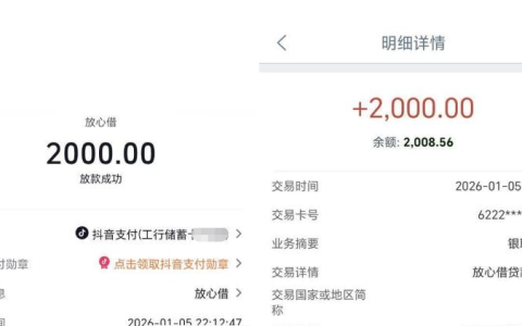 抖音旗下放心借复借稳定下款 2000 元 抖音支付快速到账 借款体验靠谱