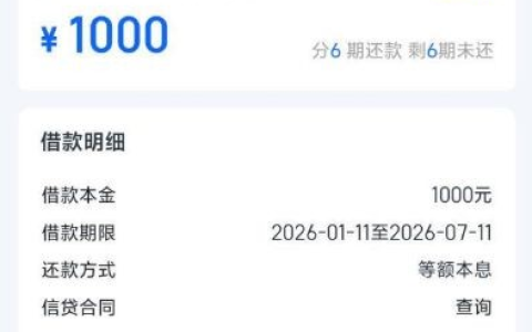 信用飞 1000 额度借款真实体验 会员开通后秒到账 分期还款计划及用途凭证要求详解