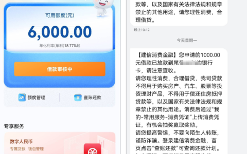 建信消费金融 6000 额度下款实测 1000 元申请客服回访后到账 年化利率及还款规则详解