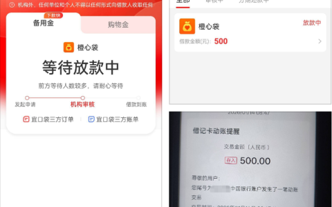 橙心袋借款申请体验怎么样？桔多多入口申请流程及到账情况分享