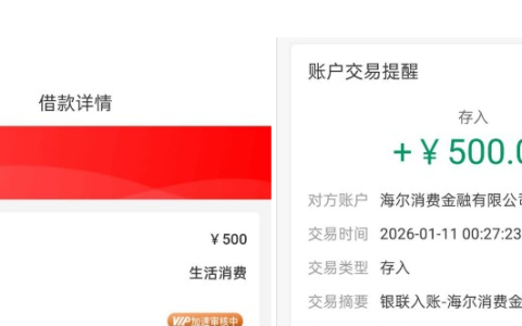 桔多多匹配橙心贷获批 1000 额度：申请 500 元生活消费借款，海尔消费金融快速放款到账