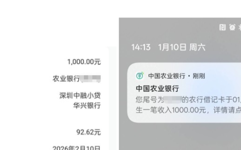 抖音放心借 1000，额度未在抖音显示，红果短剧平台申请秒下到账经验分享