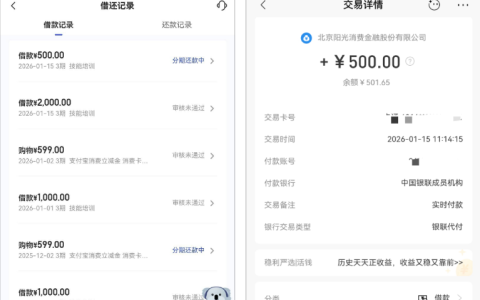宜口袋额度提至 2000 元后申请经历 开通先用后付 500 元十分钟到账详情