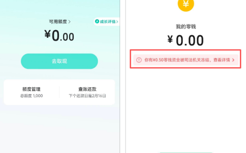 微信被执保仍顺利下款 放心借 1000 元到账 抖音旗下信贷服务申请体验