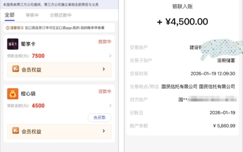 宜口贷匹配橙心贷 4500 元下款实测：葡享放款中状态及用户借款体验分享