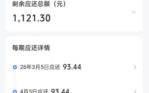 放心借两笔 500 元下款体验：121 元利息引发热议，放款机构及还款计划详解