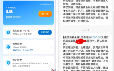 建行福袋 8000 元秒通过下款实录：申请技巧、额度情况及用户反馈分享