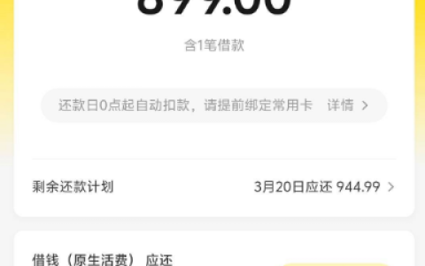 美团 10000 元借款成功下款：还款计划及用户申请体验分享